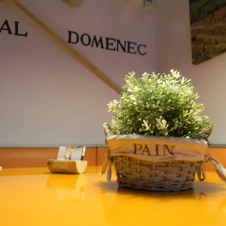 Cal Domenec Apartamento Burg